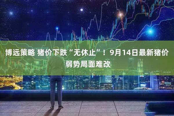 博远策略 猪价下跌“无休止”！9月14日最新猪价 弱势局面难改