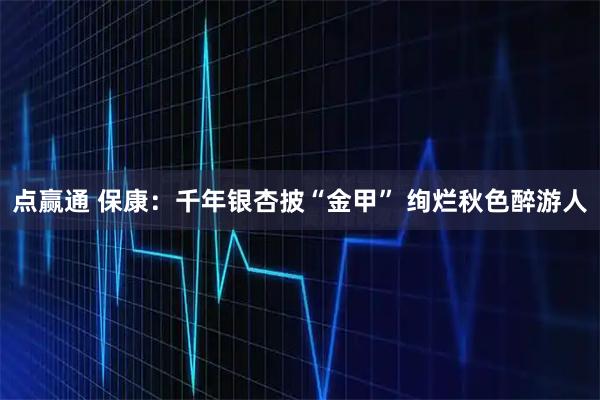 点赢通 保康：千年银杏披“金甲” 绚烂秋色醉游人